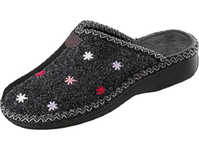 famille aster anthracite